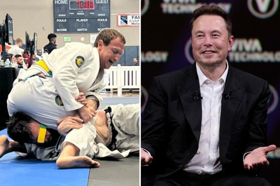 Elon Musk says he's 'up for a cage match' with jiu-jitsu-trained Mark Zuckerberg