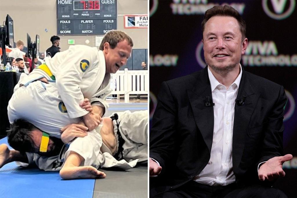 Elon Musk Challenges Jiu-Jitsu-Trained Mark Zuckerberg to a Cage Match ...