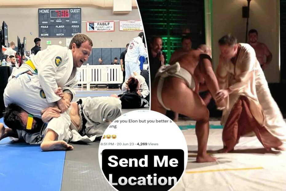 Mark Zuckerberg accepts Elon Musk's cage fight: 'Send me the location'