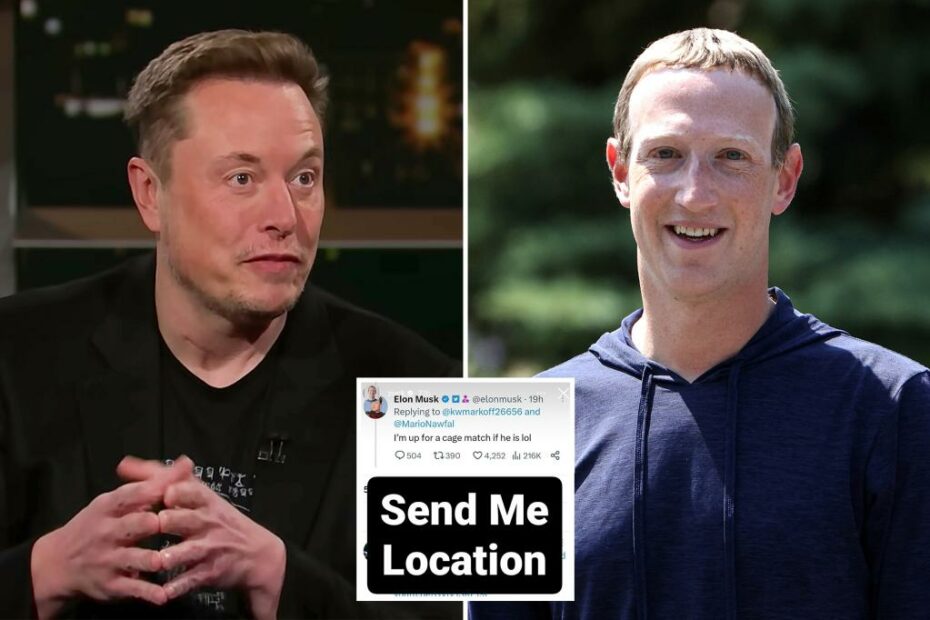 Mark Zuckerberg, Elon Musk privately ripped each other for years before 'cage match' challenge: report