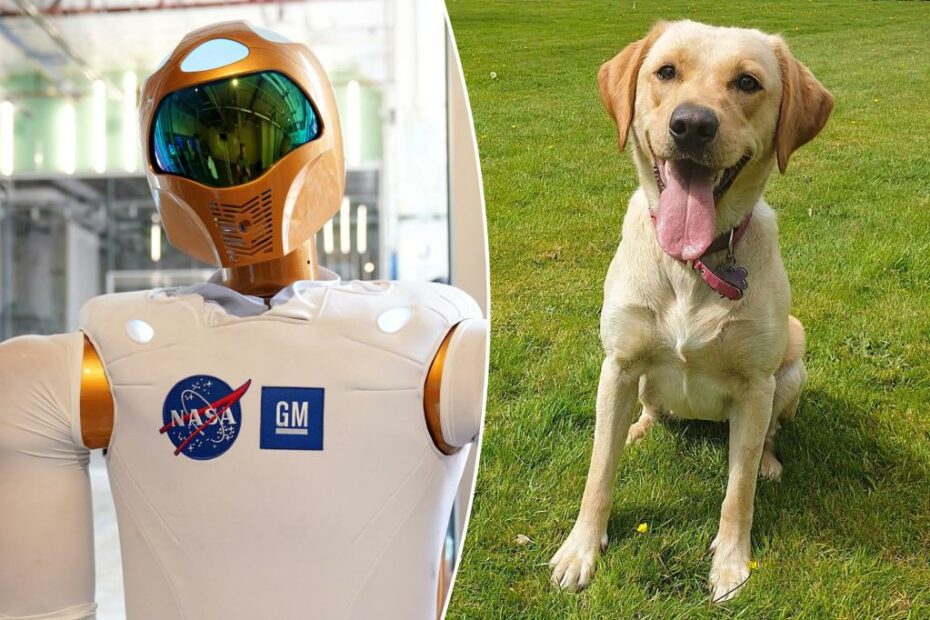 Dogs are smarter than AI, scientist claims