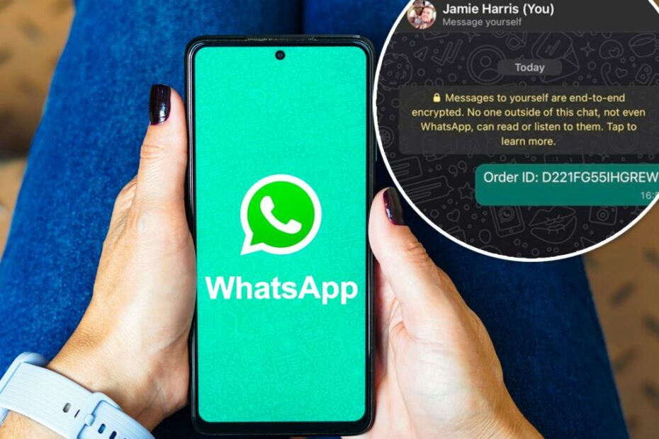 WhatsApp's hidden contact feature revealed -- here's how it works