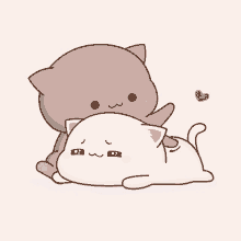 Peach Cat Gifs | Tenor | Cute Cat Gif, Cute Anime Cat, Cute Bear Drawings
