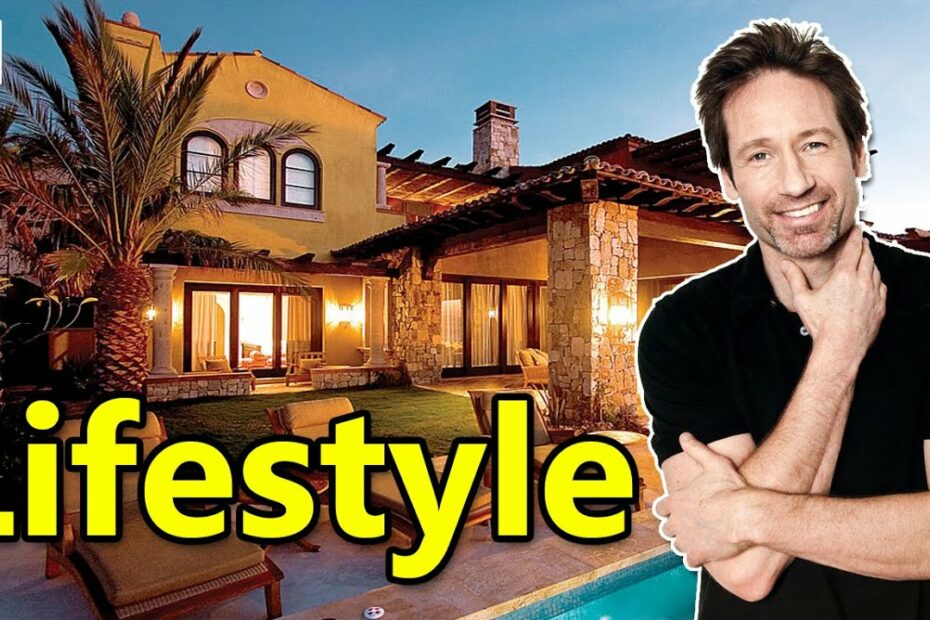 David Duchovny Income, Cars, Houses, Lifestyle, Net Worth And Biography - 2020 | Levevis