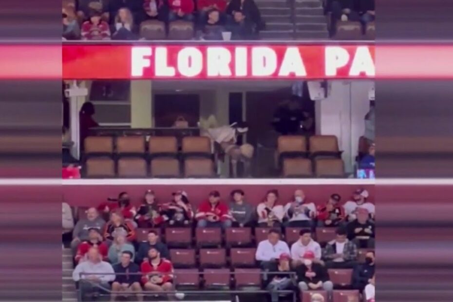 Kodak Black Makes A Scene At Florida Panthers Hockey Game